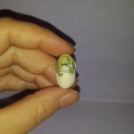 Обувь формата realpuki.