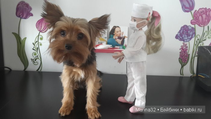 Аня-ветеринар. По следам конкурса "Кукла и питомец"