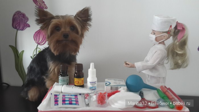 Аня-ветеринар. По следам конкурса "Кукла и питомец" (фото 5)