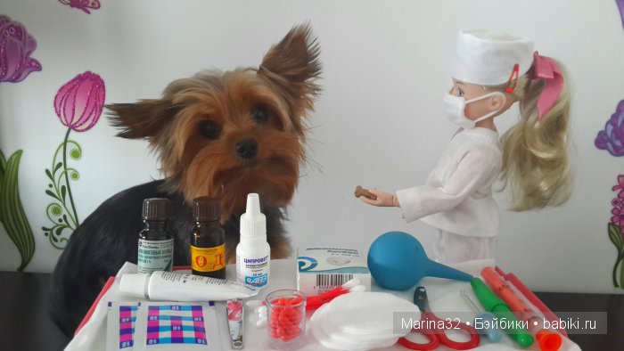 Аня-ветеринар. По следам конкурса "Кукла и питомец" (фото 7)
