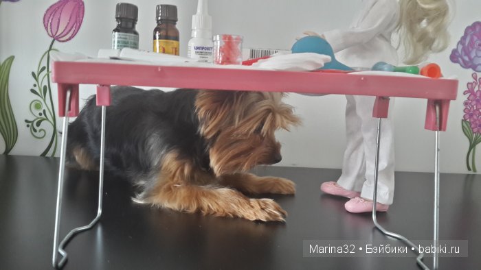 Аня-ветеринар. По следам конкурса "Кукла и питомец" (фото 3)
