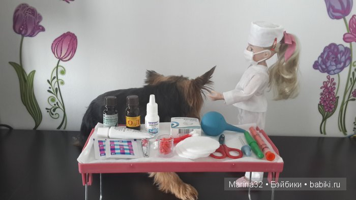 Аня-ветеринар. По следам конкурса "Кукла и питомец" (фото 2)