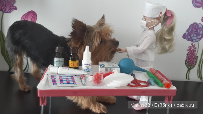 Аня-ветеринар. По следам конкурса "Кукла и питомец" (фото 8)