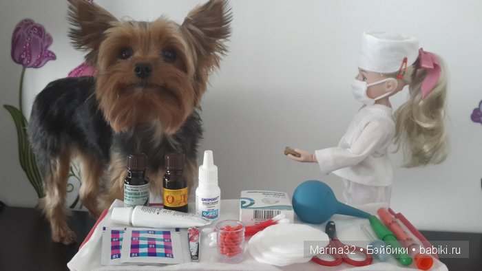 Аня-ветеринар. По следам конкурса "Кукла и питомец" (фото 6)