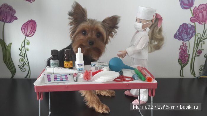 Аня-ветеринар. По следам конкурса "Кукла и питомец" (фото 4)