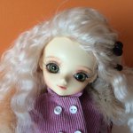 Васька вернулась домой