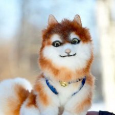 Сибирская хаски Лойт