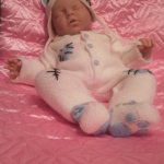 Мой очередной зверёк.