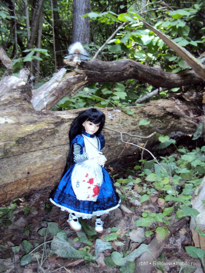 Алиса в Волшебном Лесу — Куклы Bimong (Бимонг): Narae (Нарае)