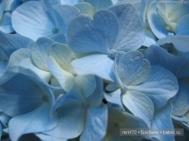 Сказочная девочка Мариэлла от Королевской галереи