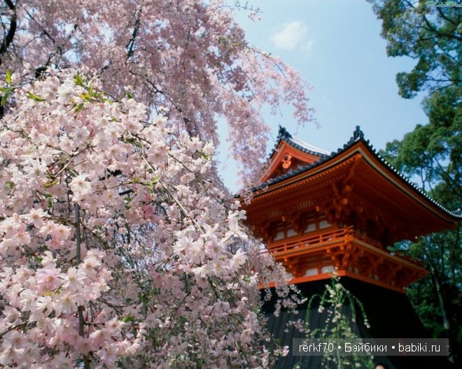 Мадам Баттерфляй от Лены Лиу