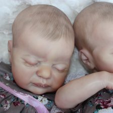 Крошки из молдика Америкус