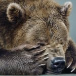 Белорусские  не только, мишки