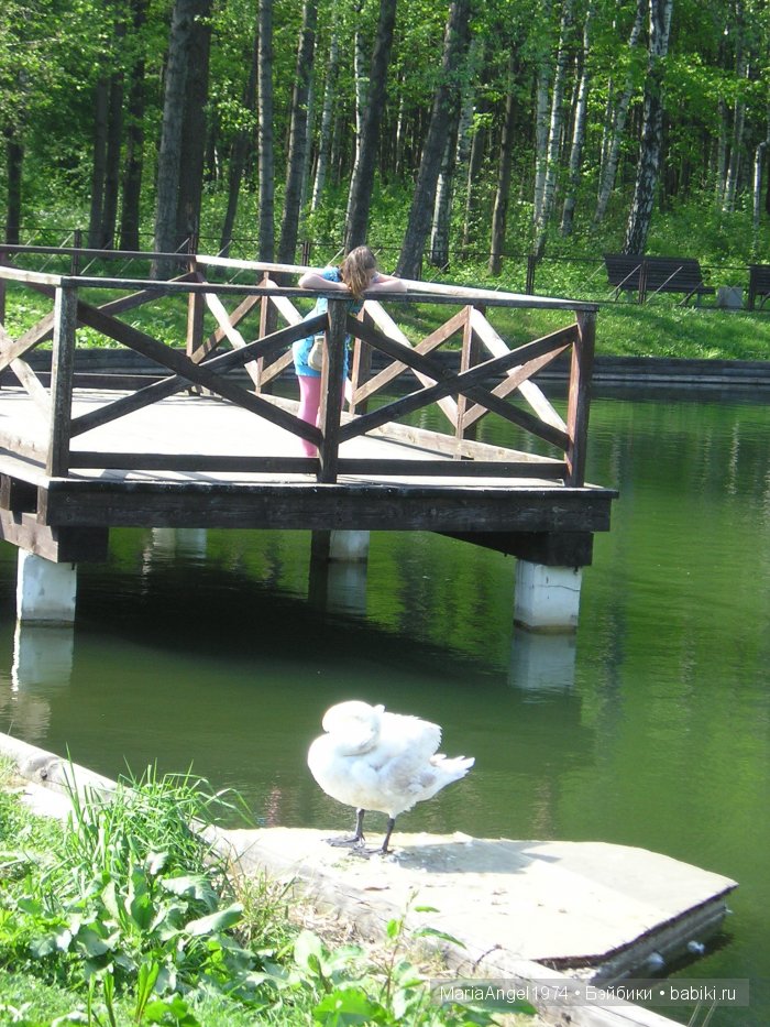 Чуть прохлады. Май цветущий. Ботанический сад в Минске