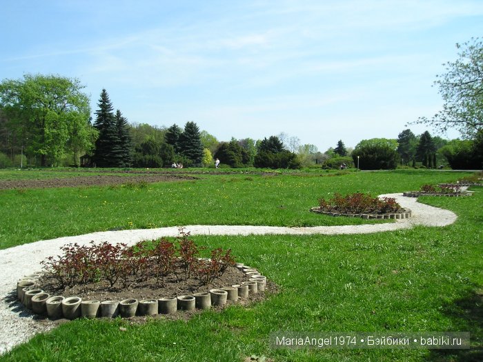 Чуть прохлады. Май цветущий. Ботанический сад в Минске (фото 8)