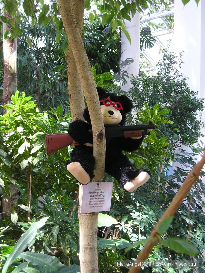 Чуть прохлады. Май цветущий. Ботанический сад в Минске