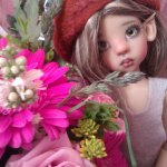 Моя новая звездочка - Лайла. Ну и вся банда вместе