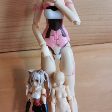 Мои японские и другие шарнирки 6ч Кто есть кто