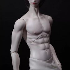 Посоветуйте мужское шарнирное тело