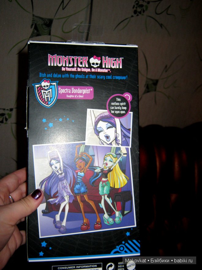 Коробочка сзади