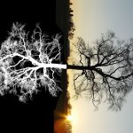 А имеем ли мы вообще право судить других людей и - уж тем более - кукол?