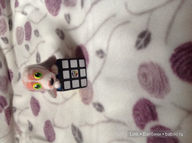 Мои новые питомцы — Болталка и разговоры обо всем: жизнь