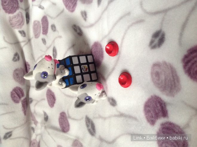 Мои новые питомцы — Болталка и разговоры обо всем: жизнь