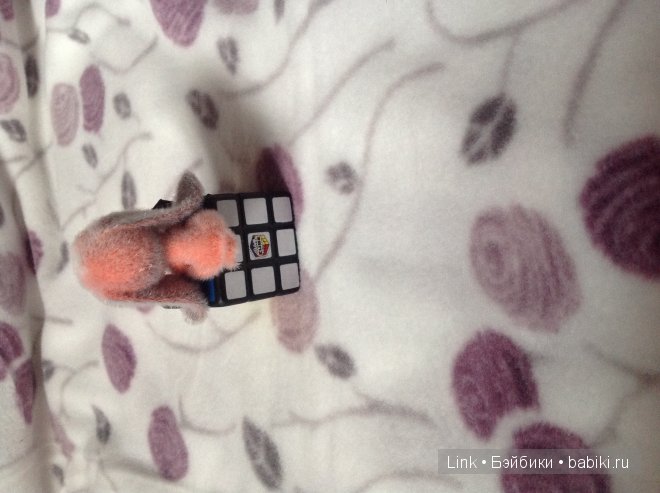 Мои новые питомцы — Болталка и разговоры обо всем: жизнь