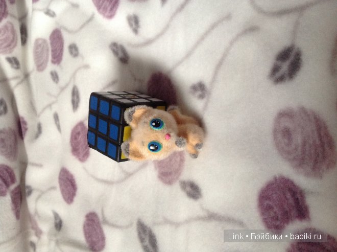 Мои новые питомцы — Болталка и разговоры обо всем: жизнь (фото 3)