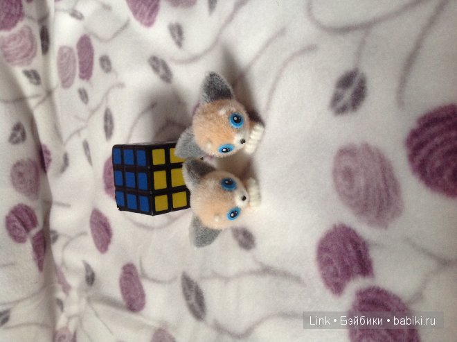 Мои новые питомцы — Болталка и разговоры обо всем: жизнь