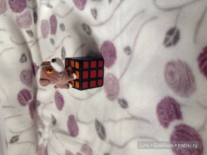 Мои новые питомцы — Болталка и разговоры обо всем: жизнь