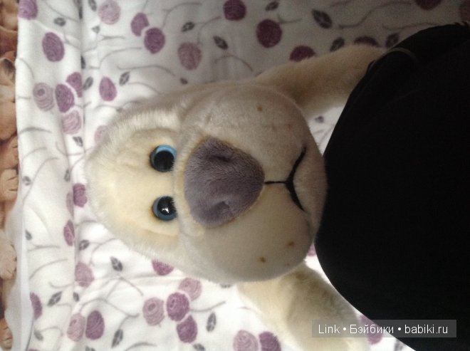 Мои новые питомцы — Болталка и разговоры обо всем: жизнь