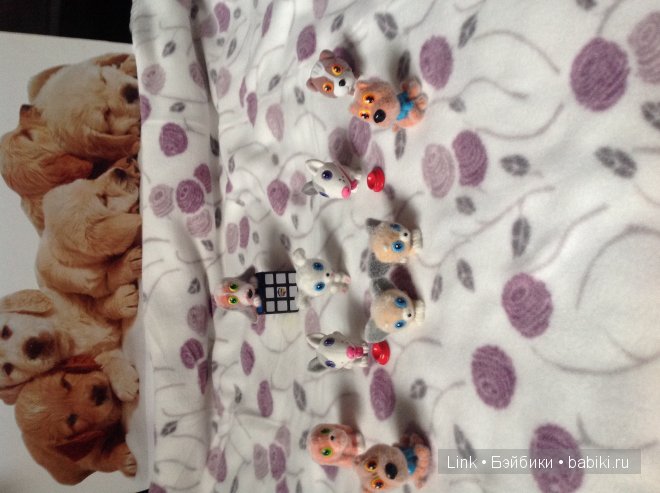 Мои новые питомцы — Болталка и разговоры обо всем: жизнь (фото 10)