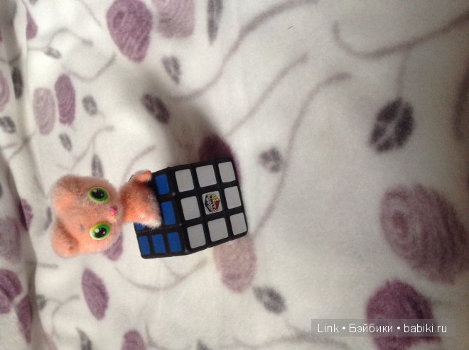 Мои новые питомцы — Болталка и разговоры обо всем: жизнь (фото 9)