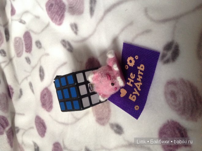 Мои новые питомцы — Болталка и разговоры обо всем: жизнь (фото 6)