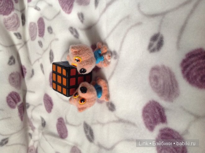 Мои новые питомцы — Болталка и разговоры обо всем: жизнь