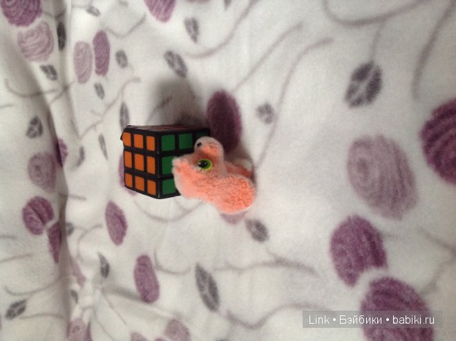 Мои новые питомцы — Болталка и разговоры обо всем: жизнь