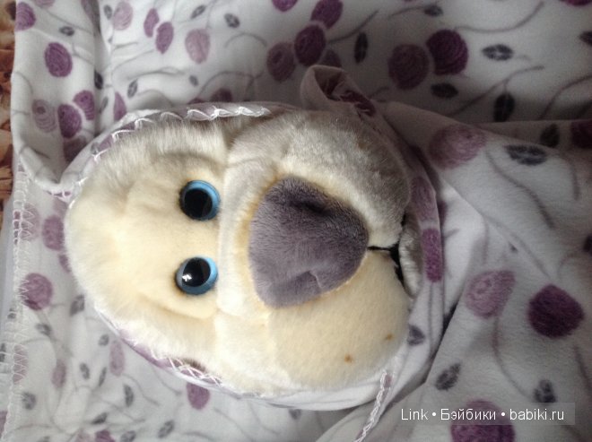 Мои новые питомцы — Болталка и разговоры обо всем: жизнь