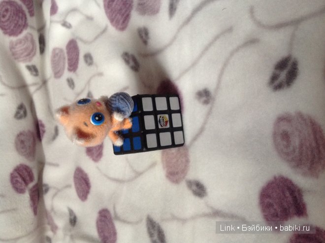 Мои новые питомцы — Болталка и разговоры обо всем: жизнь (фото 2)