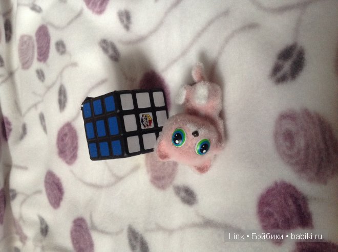 Мои новые питомцы — Болталка и разговоры обо всем: жизнь (фото 5)