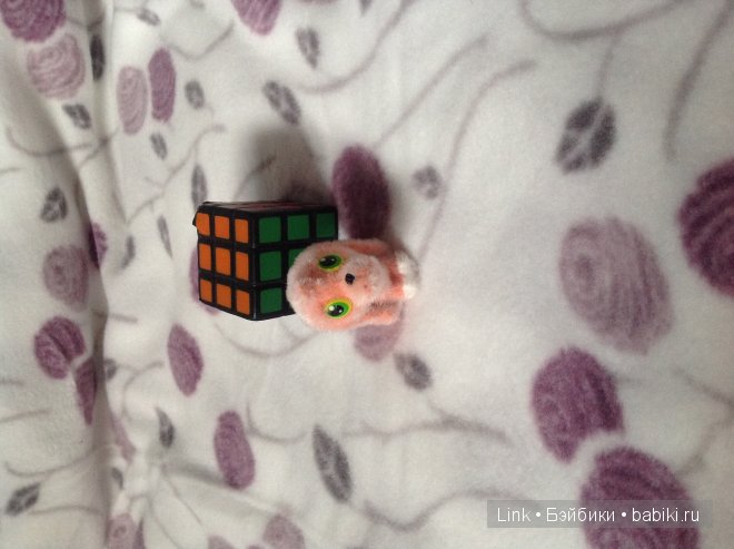 Мои новые питомцы — Болталка и разговоры обо всем: жизнь