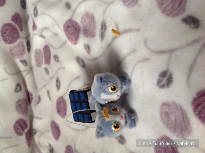 Мои новые питомцы — Болталка и разговоры обо всем: жизнь (фото 4)