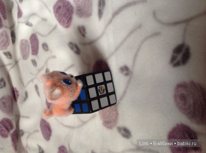 Мои новые питомцы — Болталка и разговоры обо всем: жизнь (фото 8)