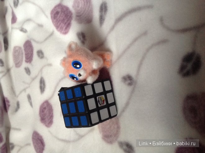 Мои новые питомцы — Болталка и разговоры обо всем: жизнь (фото 7)