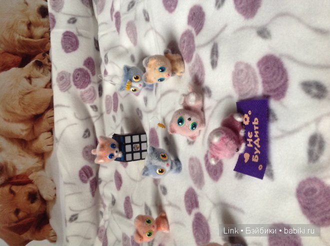 Мои новые питомцы — Болталка и разговоры обо всем: жизнь