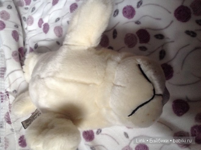 Мои новые питомцы — Болталка и разговоры обо всем: жизнь