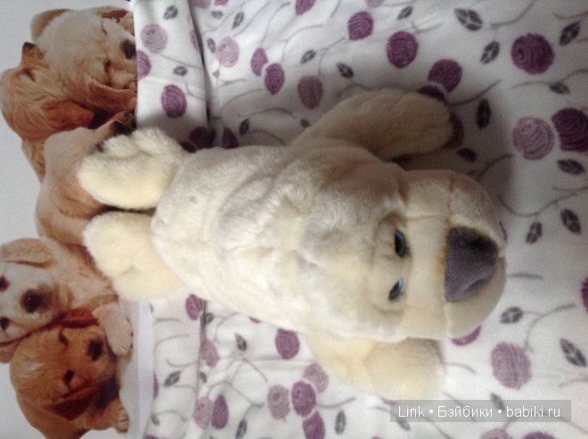 Мои новые питомцы — Болталка и разговоры обо всем: жизнь