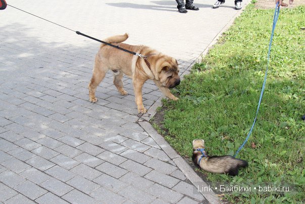 что посмотреть в митино