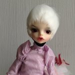 Моя прекрасная лебедь