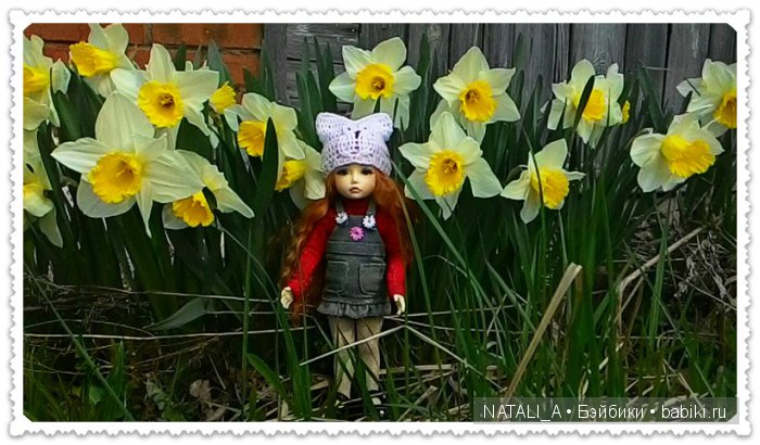 много цветочков